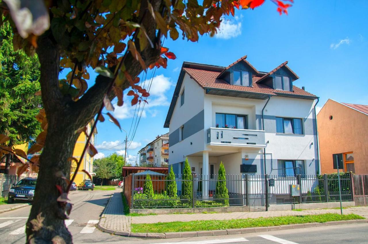 Vila Roza Sighetu Marmaţiei Exterior foto